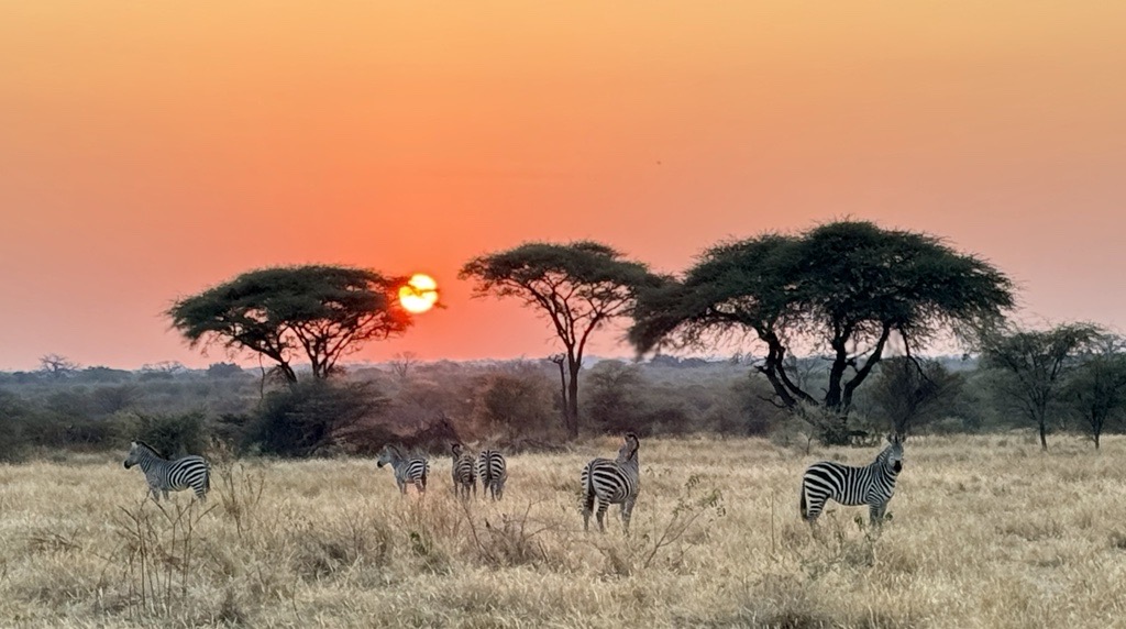 BTE Tanzania_Ruahan site_3.jpeg